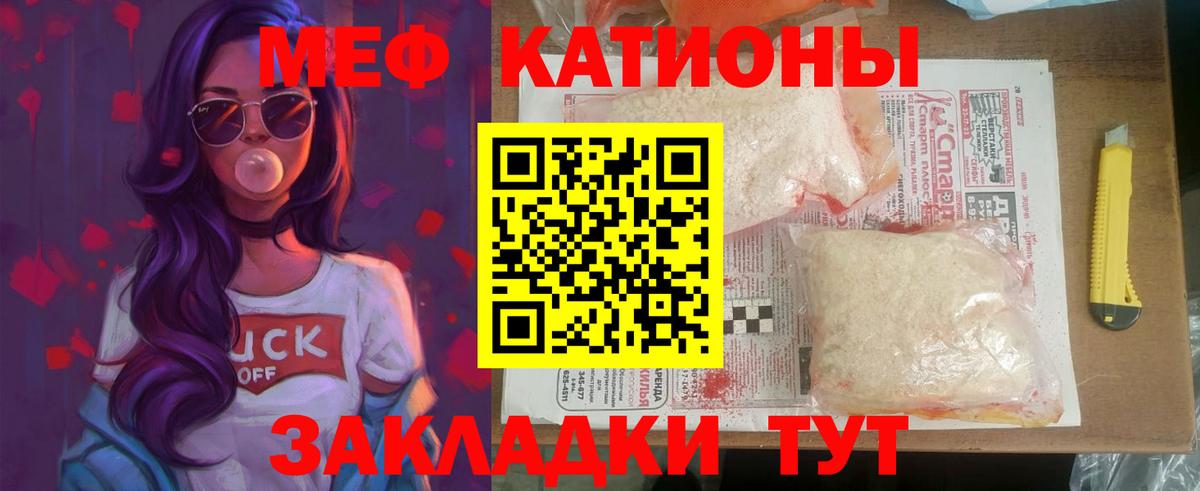 МЕФ  Россошь