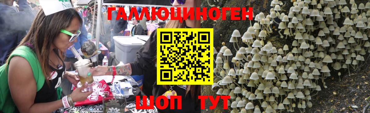 Псилоцибиновые грибы MAGIC MUSHROOMS Россошь