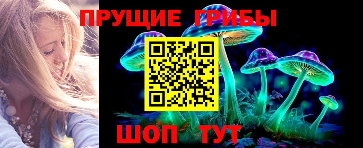 Псилоцибиновые грибы Magic Shrooms  Псилоцибиновые грибы Psilocybine cubensis  Вход с VPN  Россошь 